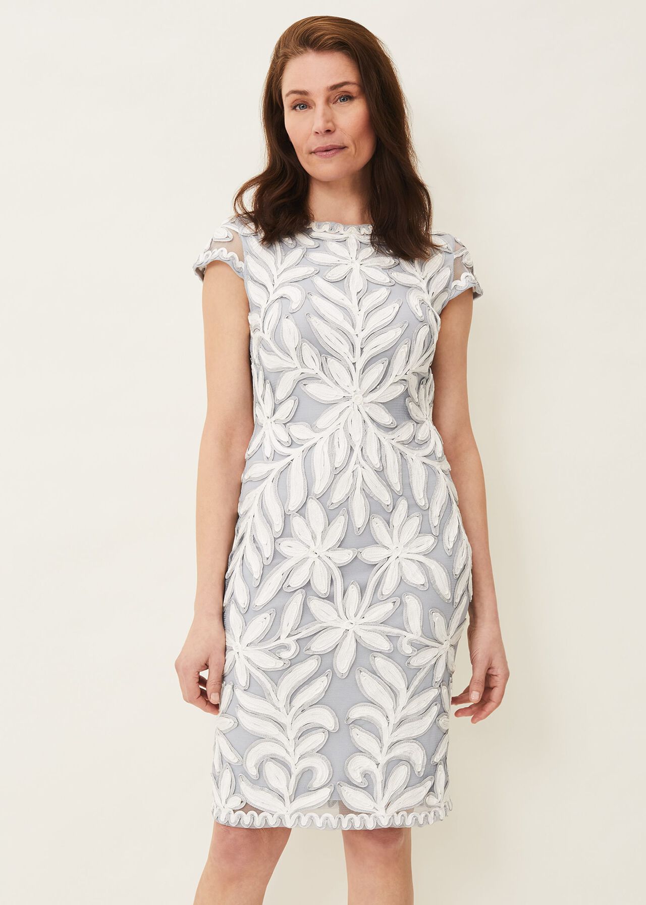 Isobel Tapework Lace Fitted Dress | Phase Eight