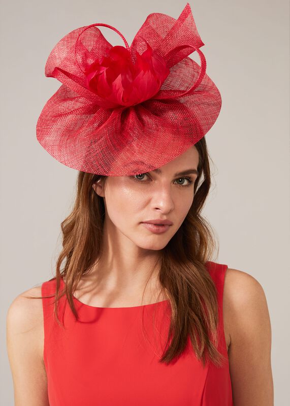 Fascinators & Hats for Sale | Phase Eight