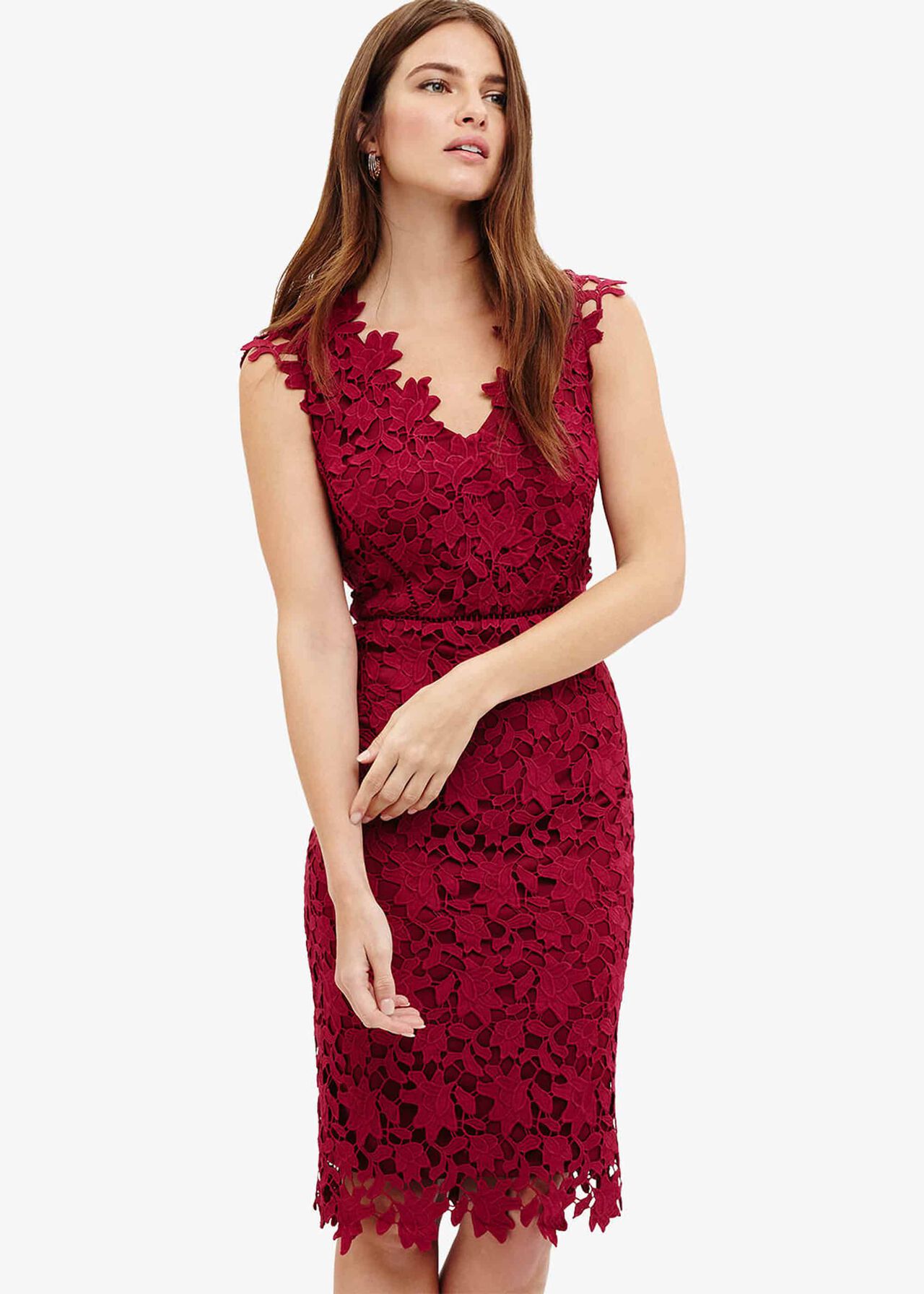 Petals Lace Dress | Phase Eight