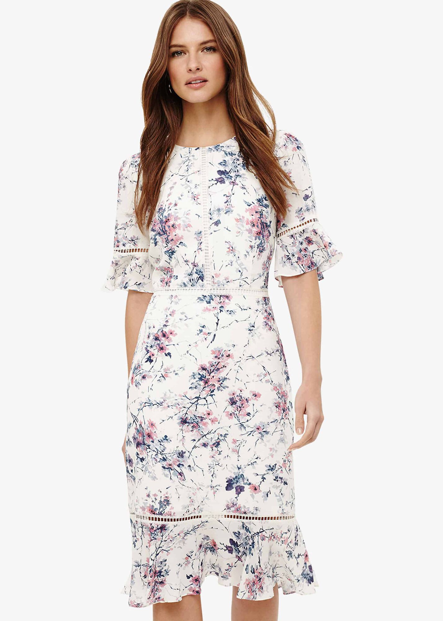 Paloma Floral Print Dress | Phase Eight
