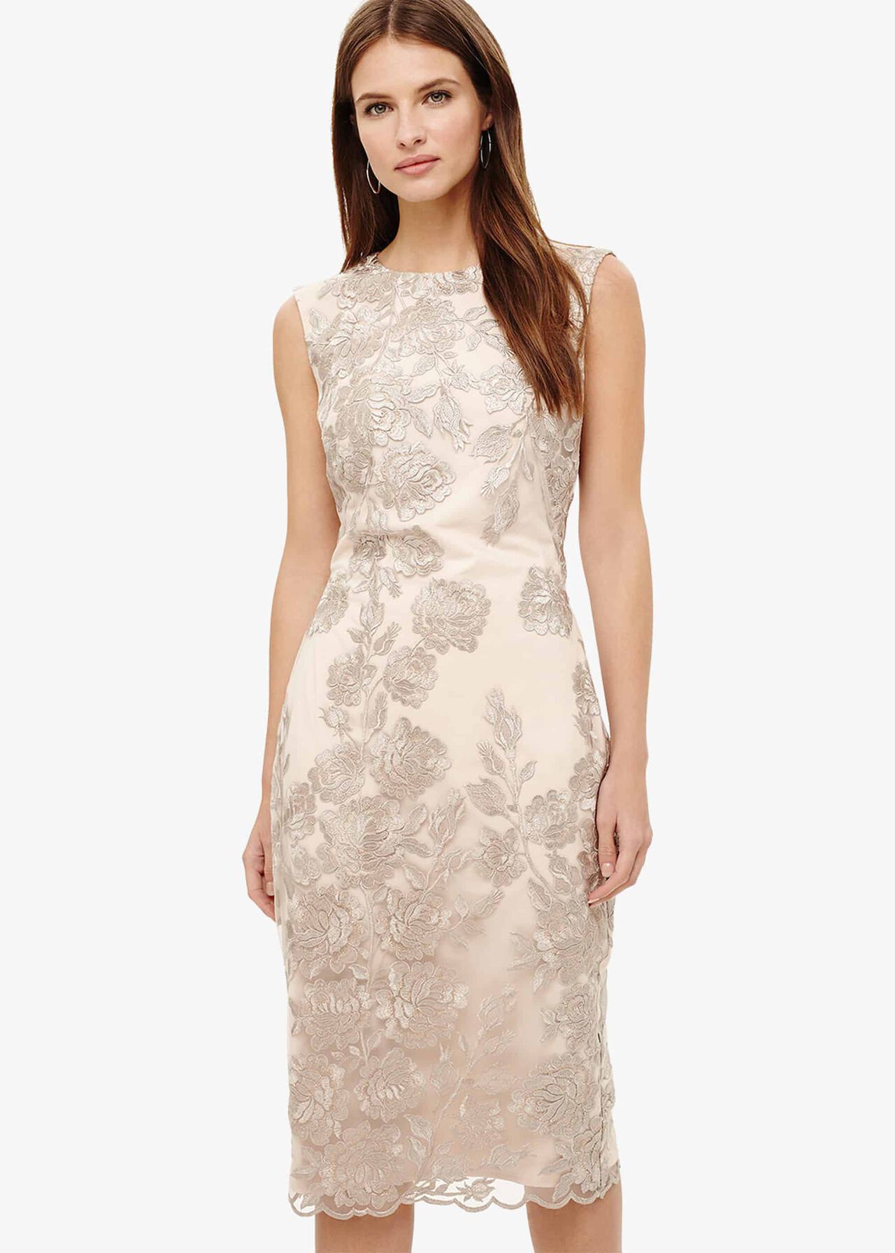 Rhea Lace Floral Dress | Phase Eight