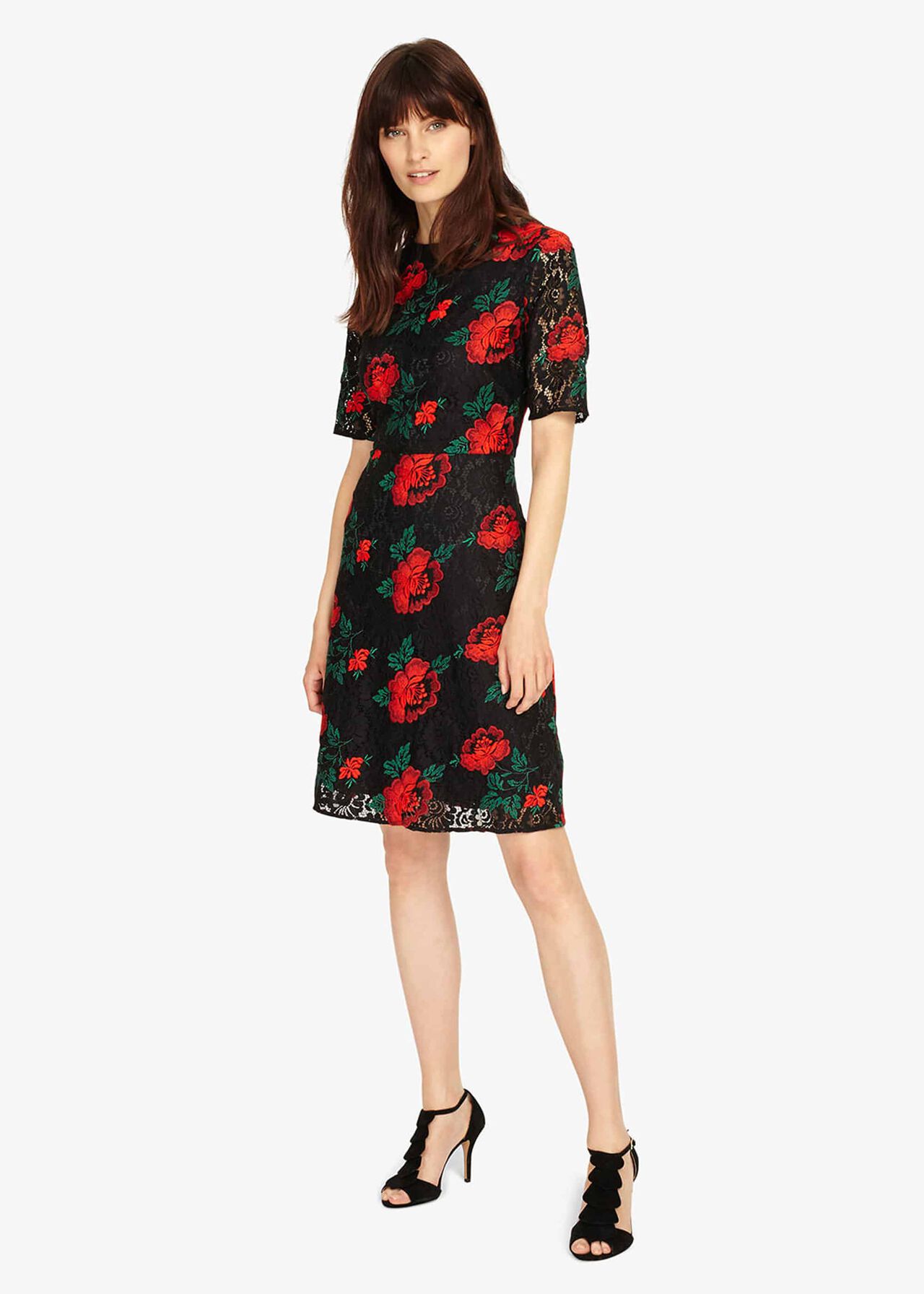 Rose Embroidered Lace Dress | Phase Eight