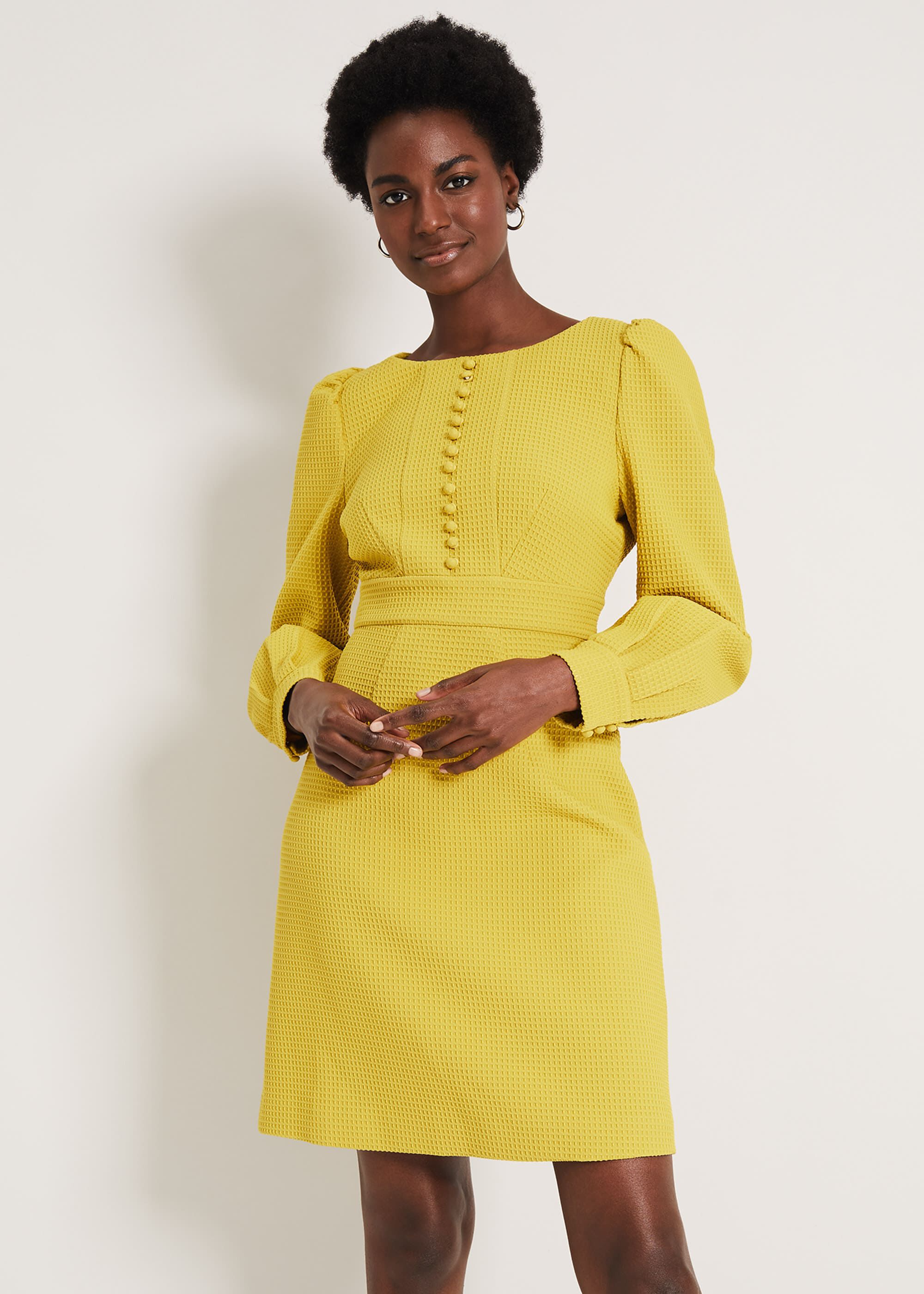 phase eight lime dress